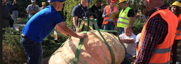 Festiwal Dyni - informacje