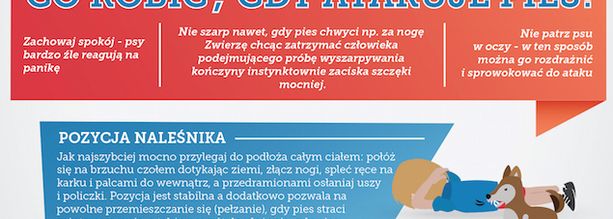 Jak bronić się przed ugryzieniem?